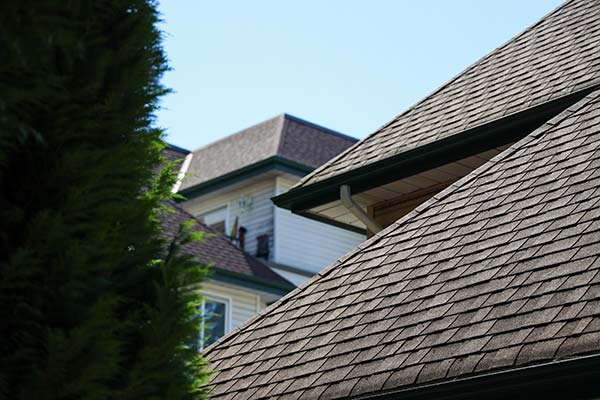 Professional Roofing Services Professional Roofing Services